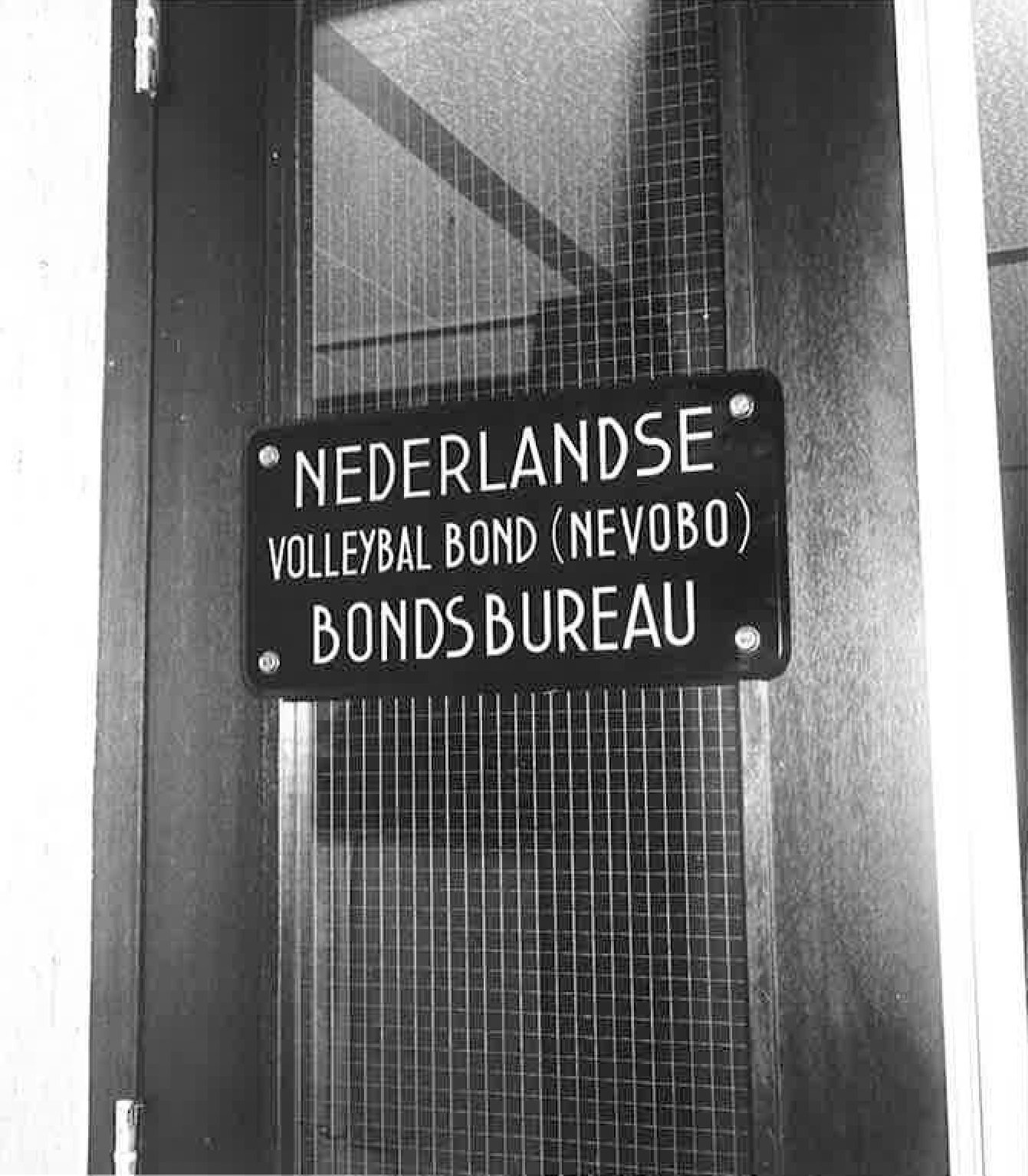 Organisatiestructuur