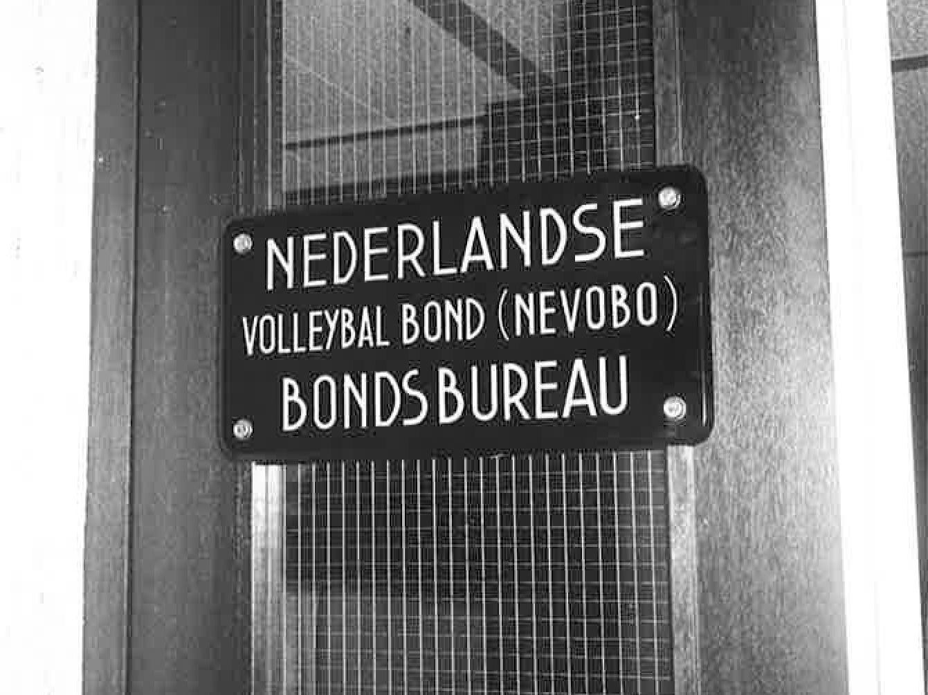 Organisatiestructuur