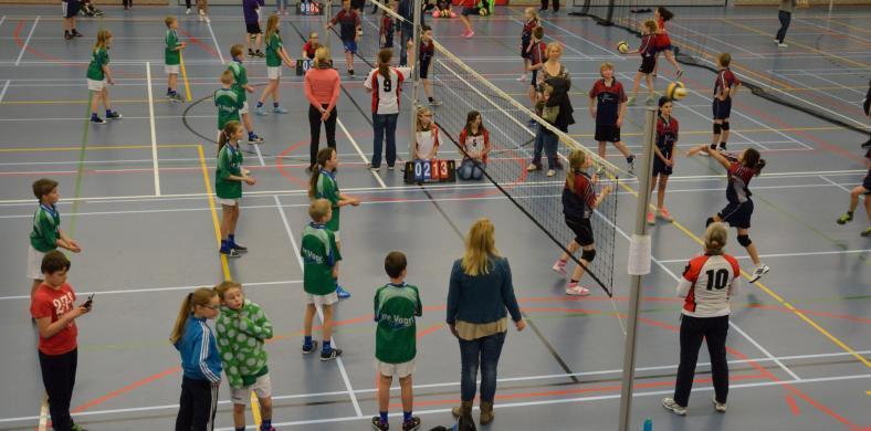 Volleybalvirus verspreidt zich over Nederland