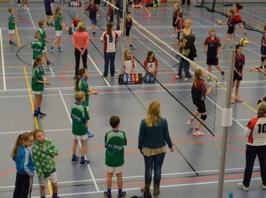 Volleybalvirus verspreidt zich over Nederland