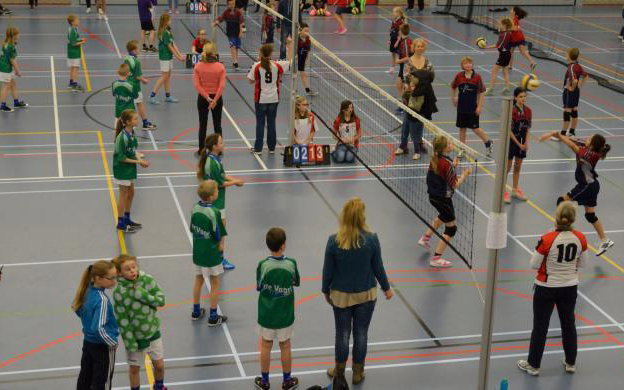 Volleybalvirus verspreidt zich over Nederland