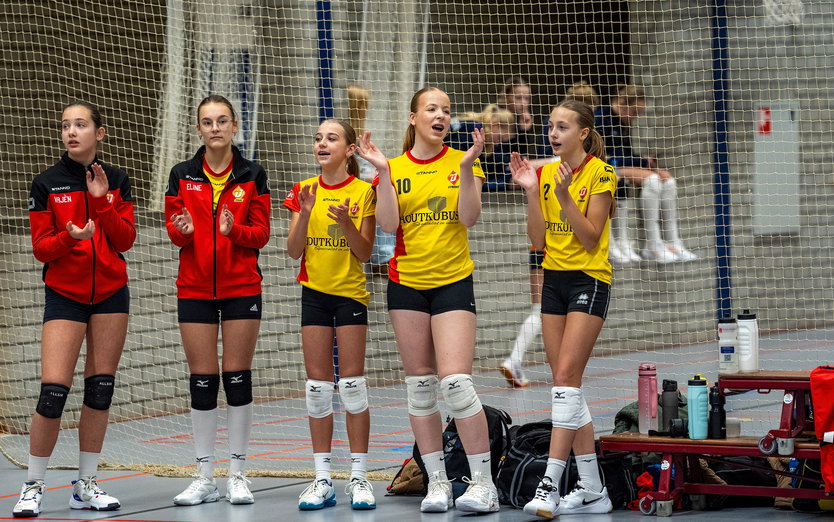 Je leert volleybal niet vanaf de zijlijn