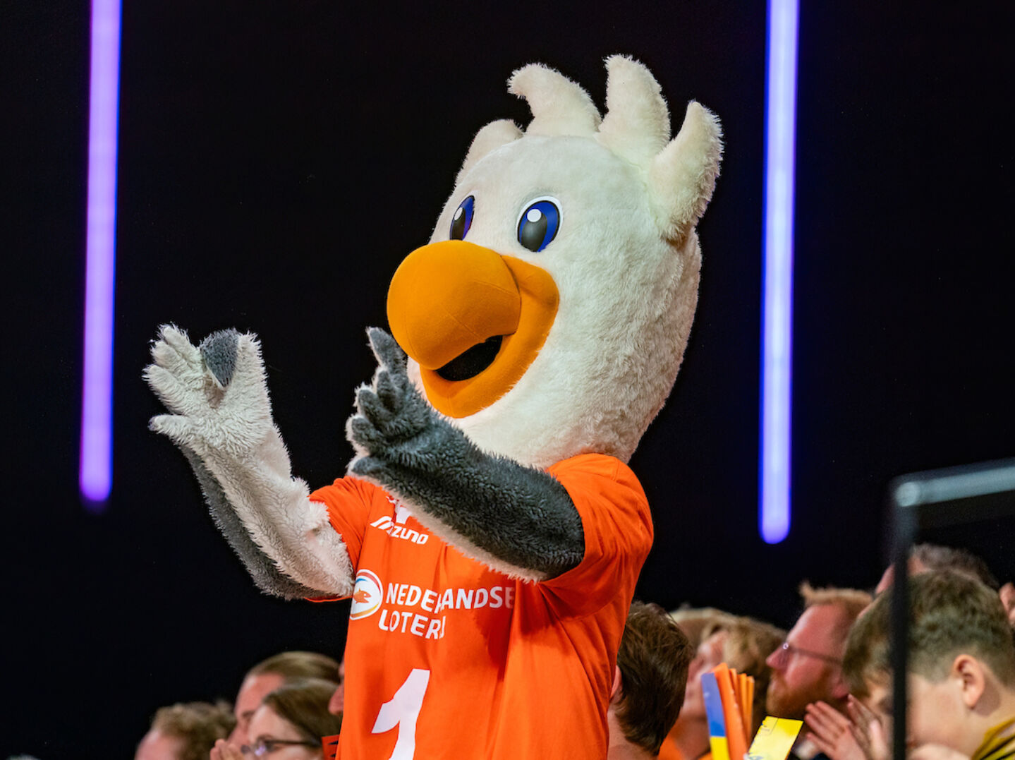 Zet de volleybalouders in het zonnetje!