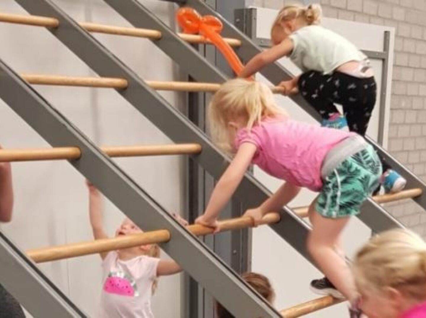 Nut en noodzaak van BMO