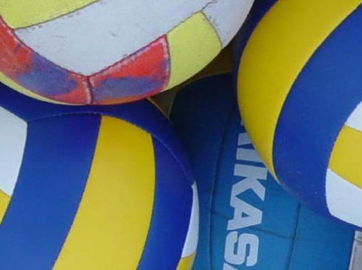 NVVO VT 4/5 clinic op Papendal