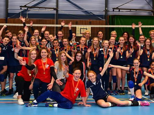 Zovoc plukt vruchten van aantrekken toptrainers